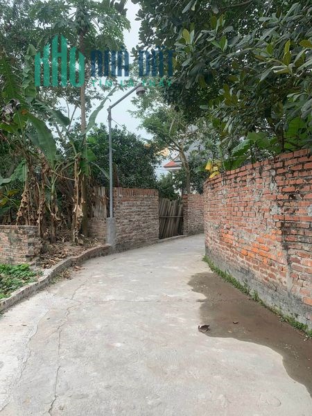 Đất Sen Hồ, Lệ Chi, 45m2 MT 4m, ngõ 2.5m giá 990tr. LH 0983253436