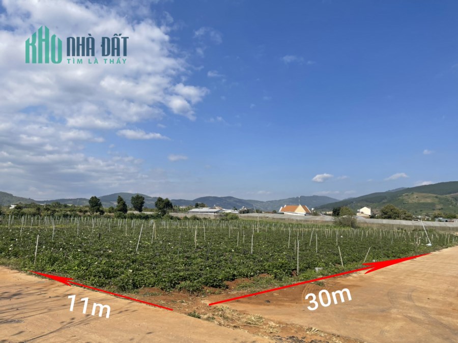 Bán Lô Liên Hiệp 2 mặt tiền Bê Tông 3,2 tỷ 11x30m sẵn 100m thổ cư tại Liên Hiệp Đức Trọng Lâm Đồng