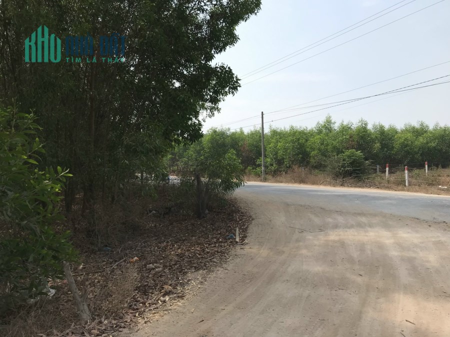 Lý Nam Đế 38x68 260 triệu/m ngang Tân Phước Lagi