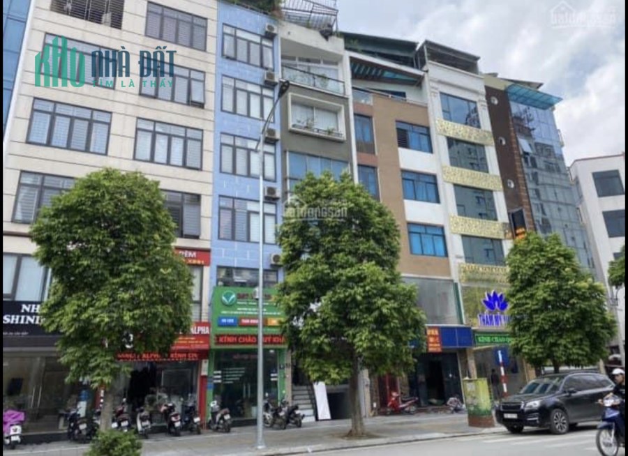 ĐẤT: MẶT PHỐ CẦU GIẤY, 270M2, MT6.5M, VỈA HÈ 4M, 100 TỶ