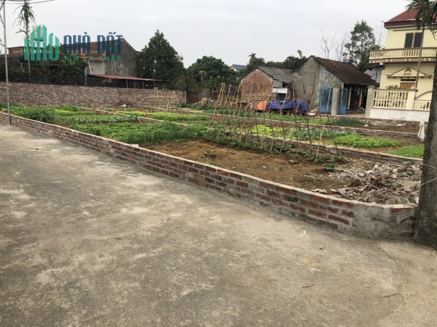 Bán gấp 156m2 mặt tiền 15m xã Phú Cát, cách nhà máy in tiền 50m. LH:0977234623