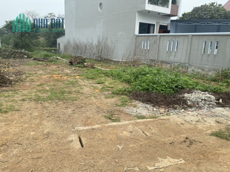 Hót Hót !! 320m2 Đất Mặt đường nhựa trục chính Hòa Thạch, Quốc Oai giá chỉ 14,5tr/m2