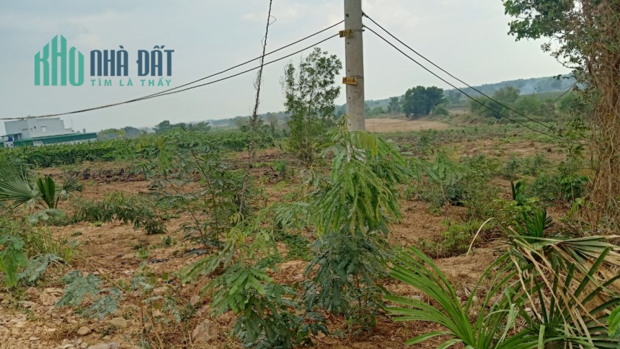Tân Tiến Lagi 6,3 sào 7 tỷ đường Tây Sơn