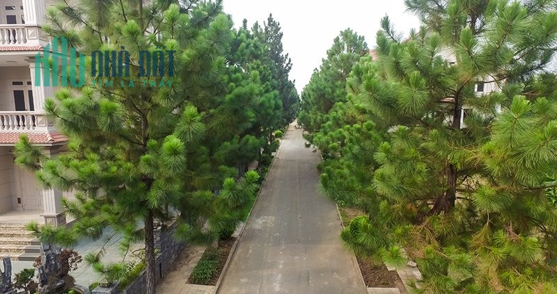 Chính chủ cần chuyển nhượng gấp 4 lô đất biệt thự 200m2-400m2 giá đầu tư tốt nhất