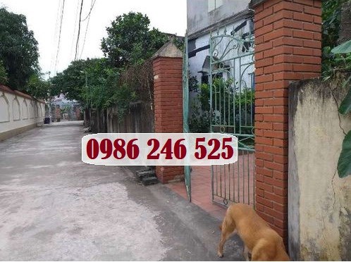 Bán nhà thôn Lam Điền, Đông Động, Đông Hưng, Thái Bình, 1,5 tỷ; 0986246525