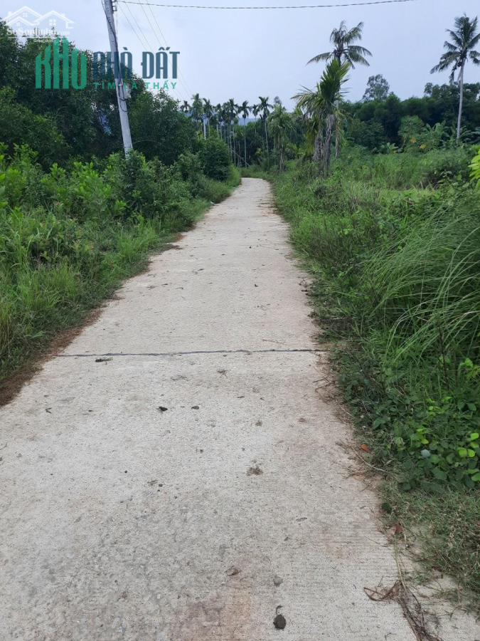 Siêu VIP 5569m Có 400m Đất Ở Đường Bê Tông Oto