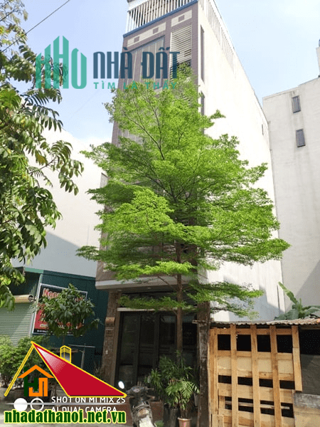 Chính chủ bán nhà LK19AB khu tái định cư Dương Nội, Hà Đông, Hà Nội