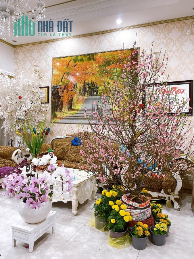 BÁN GẤP Biệt Thự HẺM 6M- Chủ Định Cư - Ngang 9m- Sổ Nở Hậu- DT 268m2- Giá 38 Tỷ Có TL