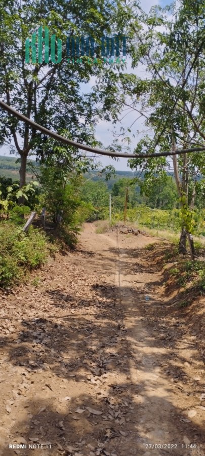 Chính chủ bán 2 lô đất 4.5Ha tại Xã Eakhal,  Eahleo,  Daklak, Giá tốt