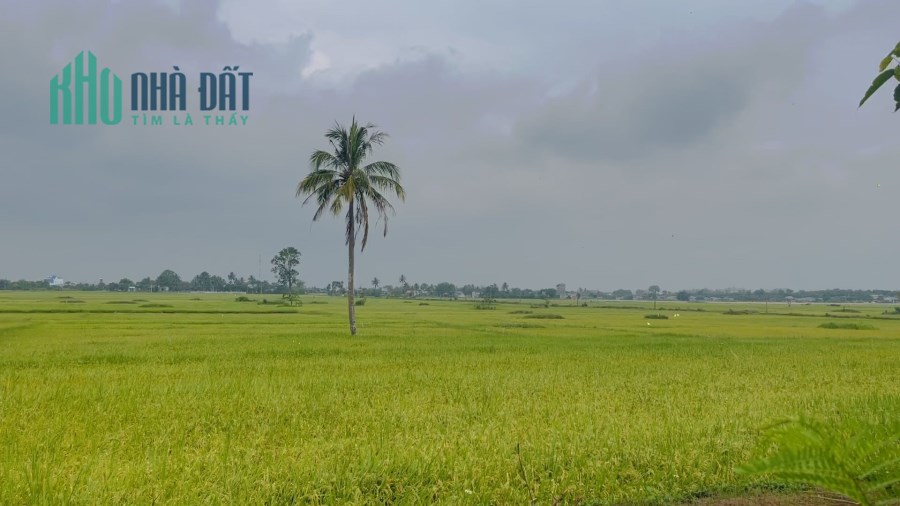 Dất sào view cánh đồng xã Hoà Khánh