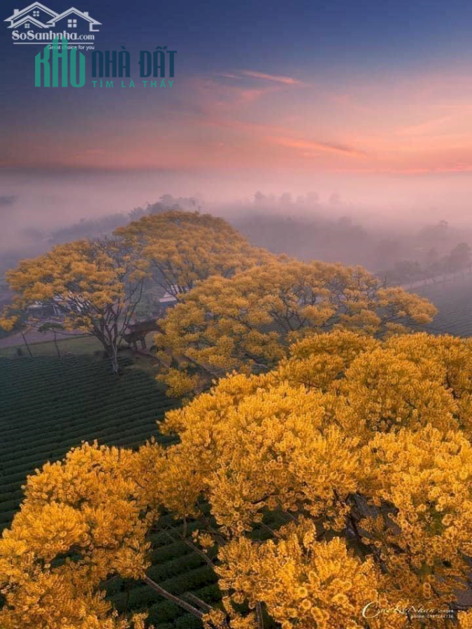 Sở hữu ngay đất nền Lộc Nam Hill chỉ 20 triệu/lô tặng kèm nhiều ưu đãi vô cùng hấp dẫn