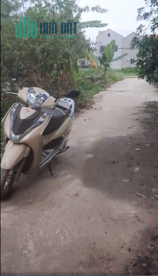 Chính chủ bán đất Chương Dương Thường Tín Hà Nội độc hiếm ngõ rộng 5m oto đỗ cửa.