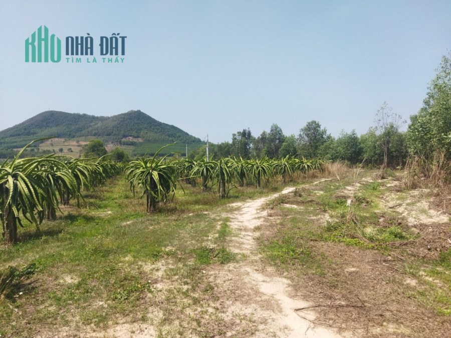 Tân Tiến Lagi view trên cao nhìn hồ 2,6 ha 12 tỷ