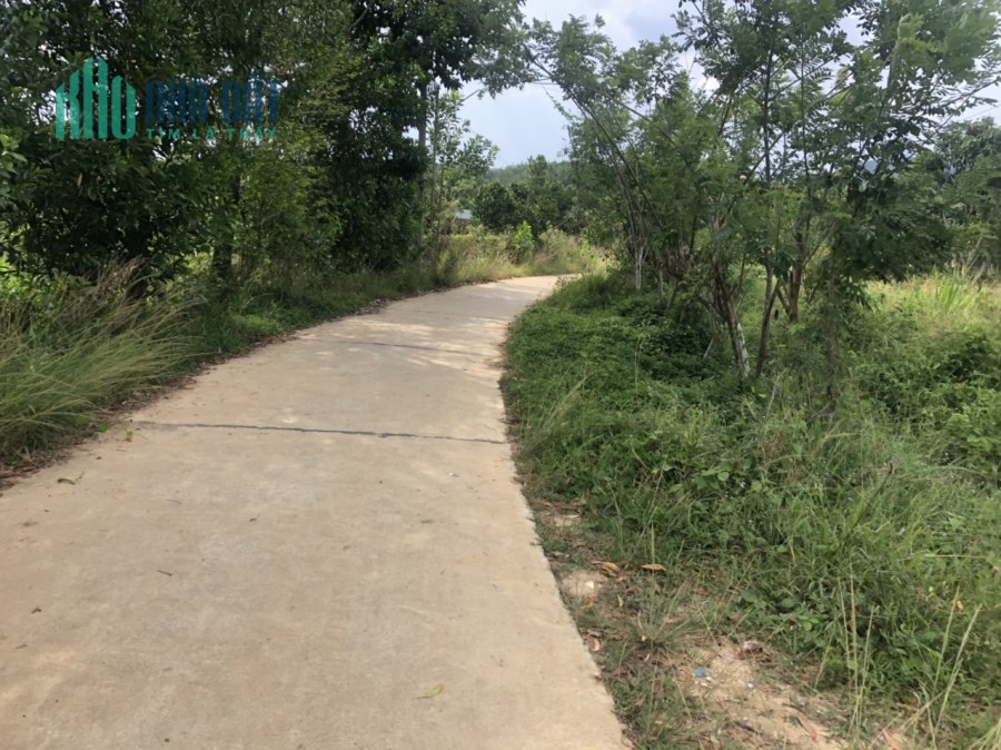 Phú Bình Tân Phú 1,17 mẫu giá 7,5 tỷ