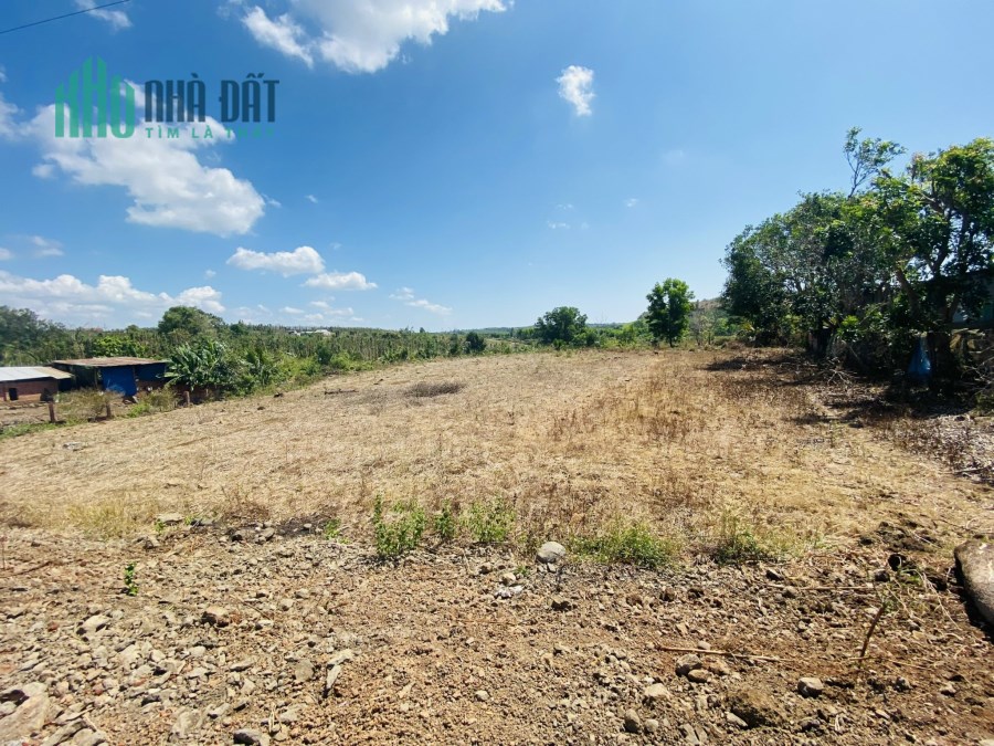 Bán 5300m2 đất MT đường nhựa khu vực xã Sơn Bình, BRVT. 5.6 tỷ. LH:0976790796