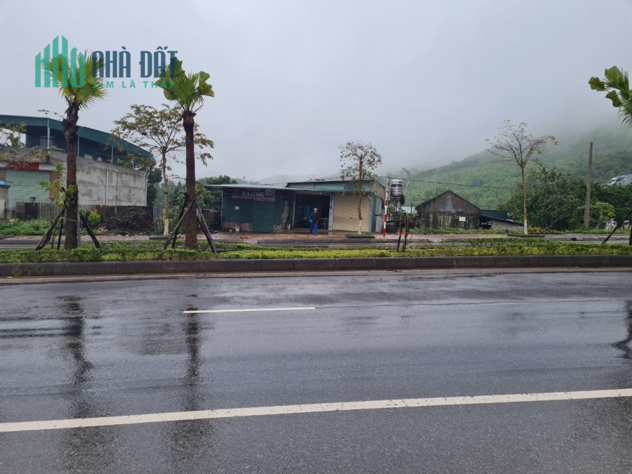 Mảnh gần 200m2 đất tại trung tâm Vân Đồn phù hợp mọi loại hình kinh doanh