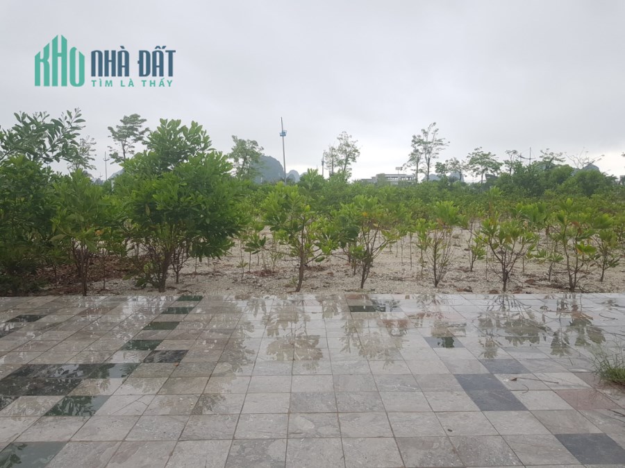 Bán lô gần 100m2 đất tại trung tâm khu đô thị Phương Đông, Vân Đồn