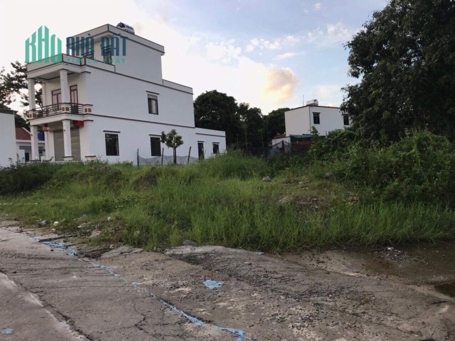 Đất nền Vân Đồn 313m2, tiềm năng sinh lời, dễ dàng thanh khoản