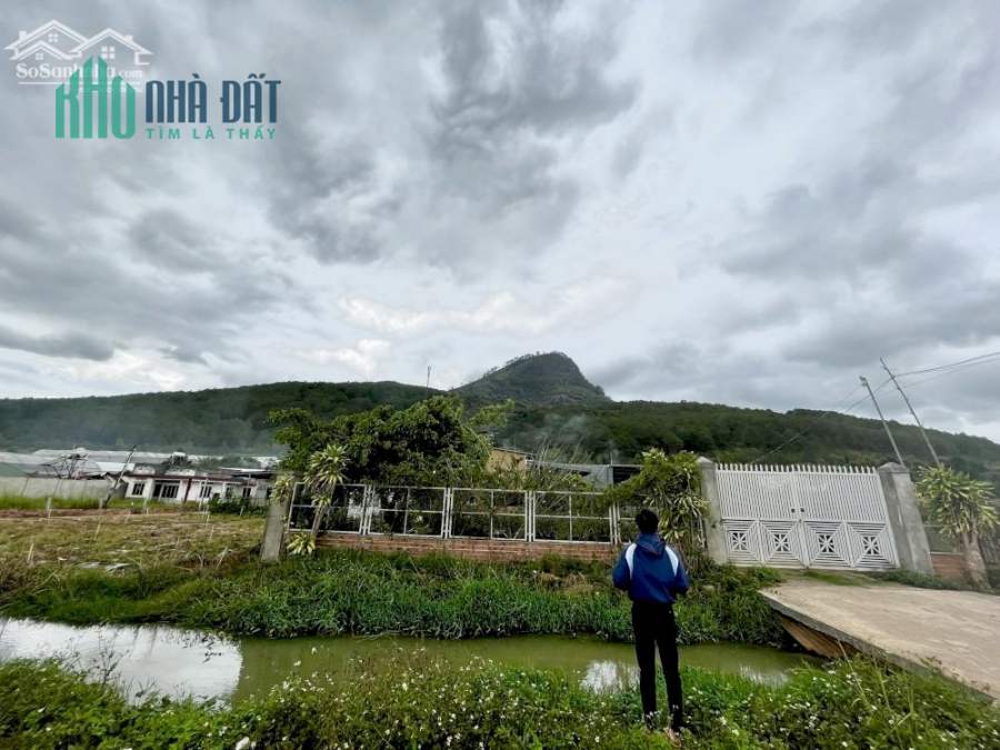 Bán gấp gần 300m2 đất thuộc Hiệp An, Đức Trọng chỉ 2.68 tỷ