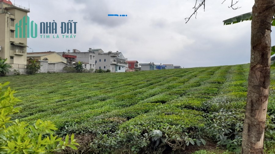Lô gần 700m2 đất tại Nông trường Mộc Châu thích hợp kinh doanh mọi loại hình