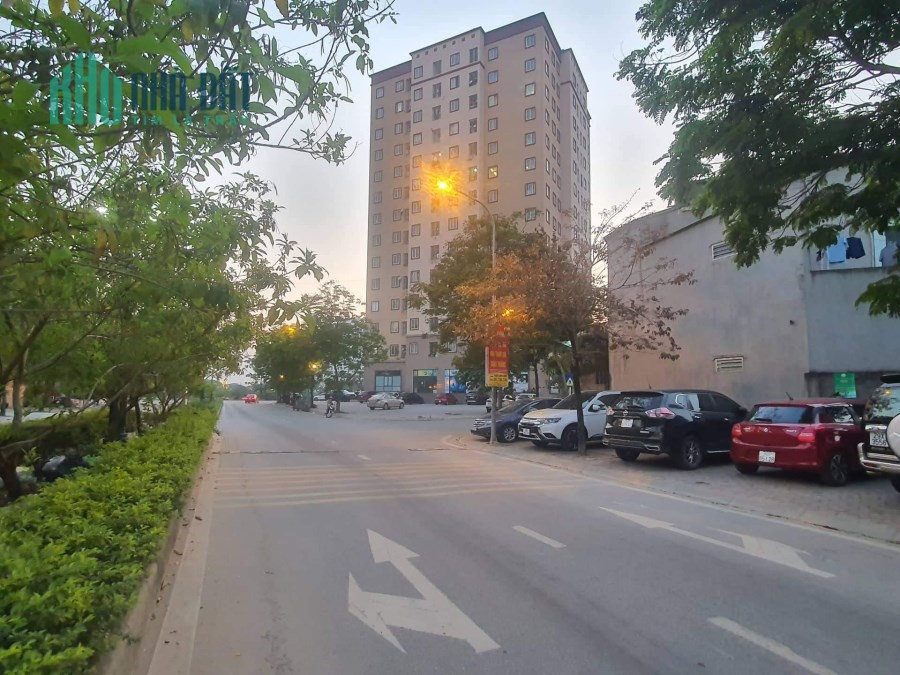 Bán đất phân lô đấu giá Giang Biên, Long Biên, Hà Nội diện tích 100m, mặt tiền 5m
