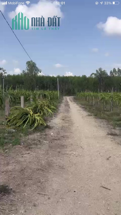 Tân Tiến Lagi 1,6 ha 6,4 tỷ lô 2 đường Tây Sơn