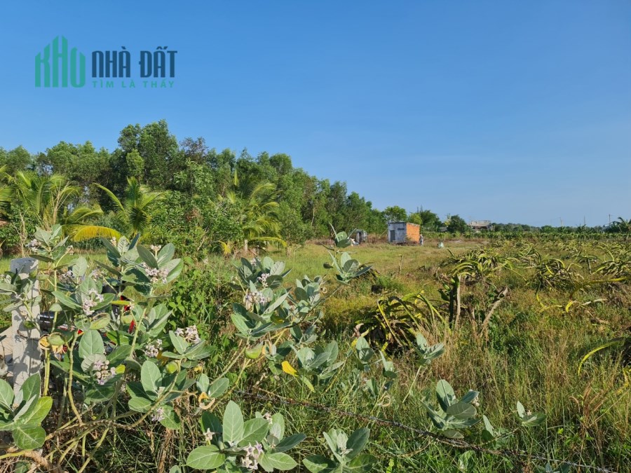 Phùng Hưng Tân Tiến Lagi 5,6 sào 8 tỷ
