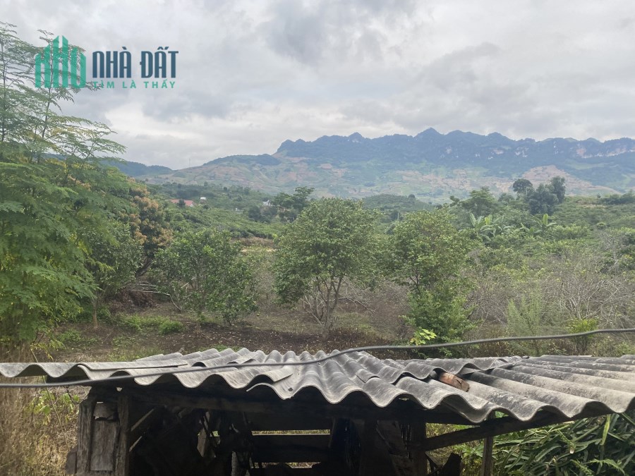 Cần bán mảnh đất view đồi chè nằm tại Chiềng Sơn