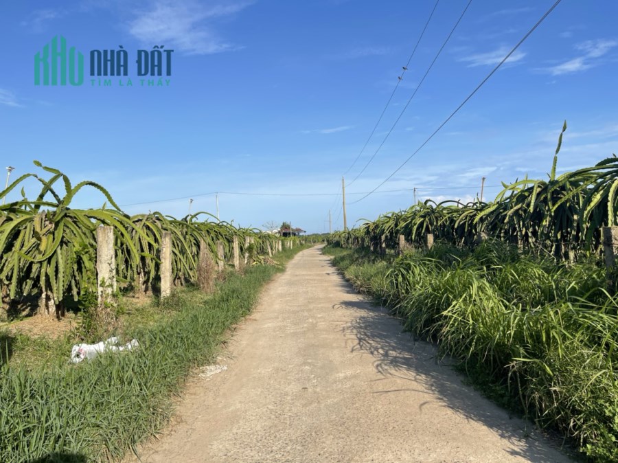 Tân Hải Lagi 1,2 mẫu 82m bê tông 7,5 tỷ