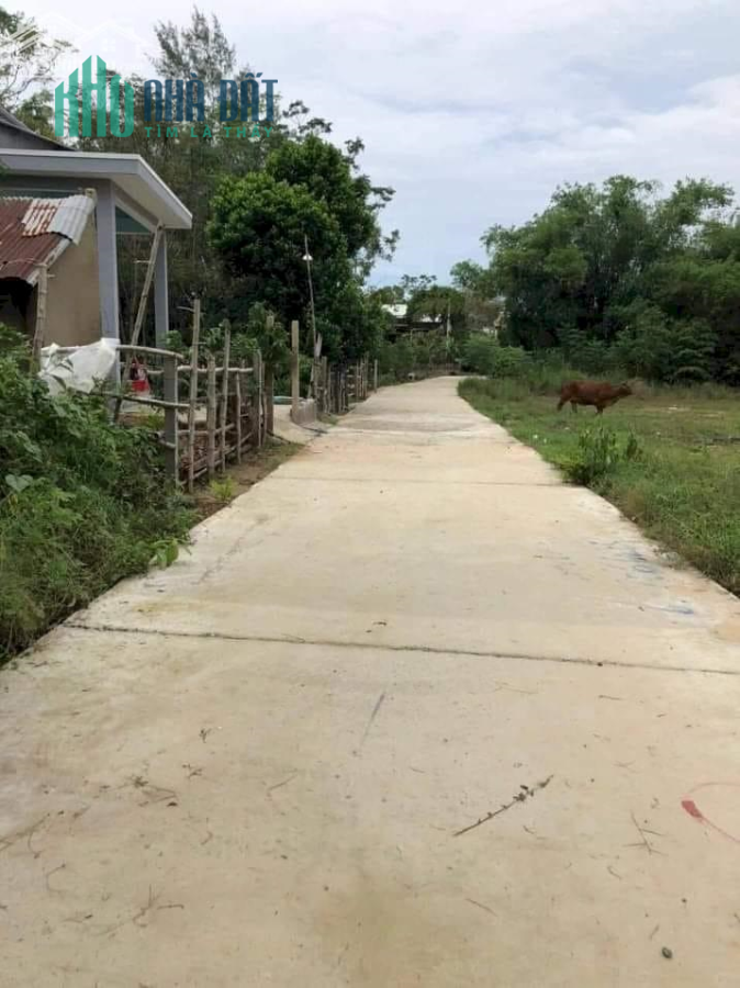 Đất Điện Trung chỉ 4xxtr bê tông 4m giá đầu tư