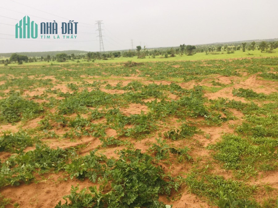 Cần tiền cho con đi học ra gấp lô đất giá rẻ