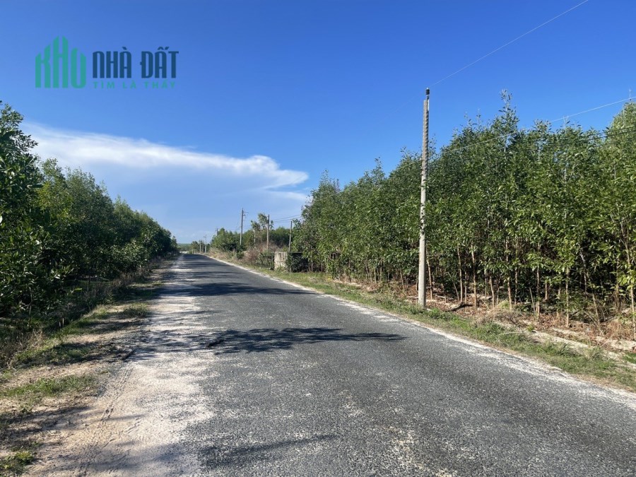 Cù Chính Lan Tân Bình Lagi 2 MT nhựa đất ở 7,6 sào