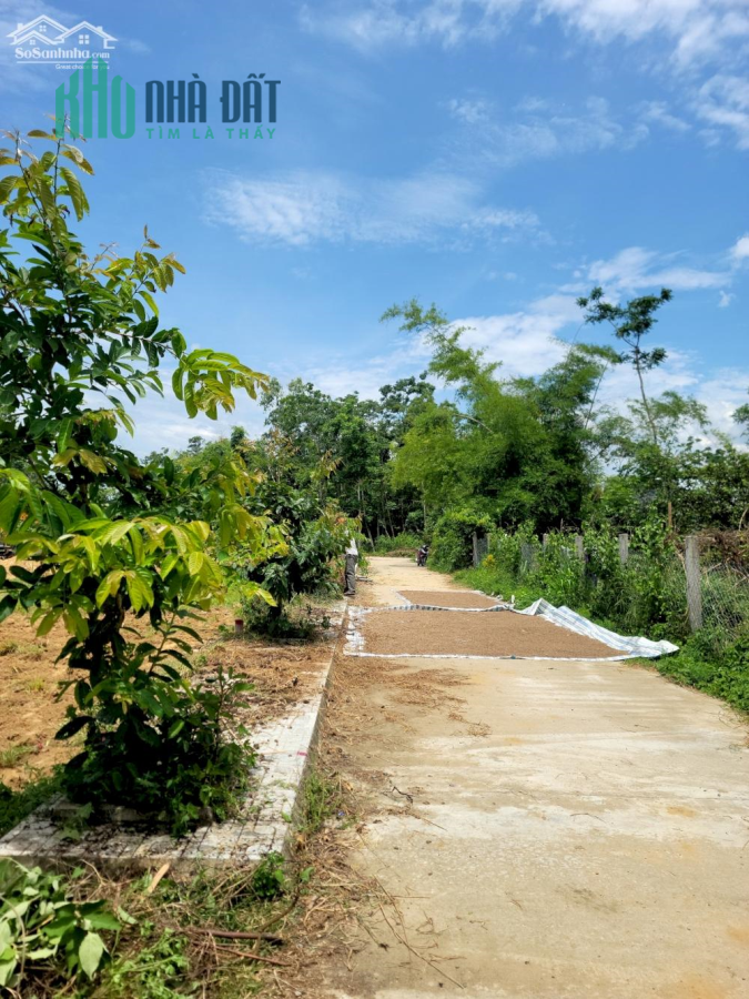 Chủ gửi bán nhanh 2 lô Điện Trung chỉ 4xxtr sẵn sổ đỏ
