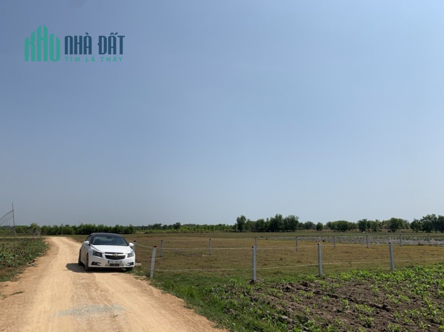 Tân Bình Lagi Rừng vàng gần biển 1 sào 2,2 tỷ