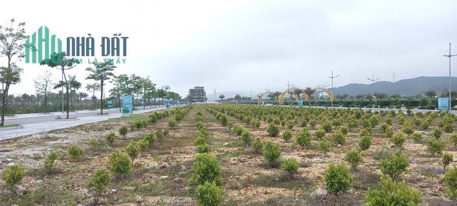 PHƯƠNG ĐÔNG VÂN ĐỒN - ĐIỂM HẸN QUẦN THỂ THƯƠNG MẠI VÀ GIẢI TRÍ NGHỆ THUẬT