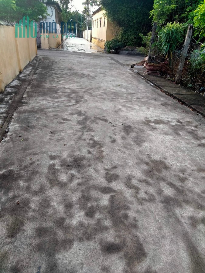 Chính chủ bán lô đất 300m2 tại Đội 12, Hải Tân, Hải Hậu, Nam Định