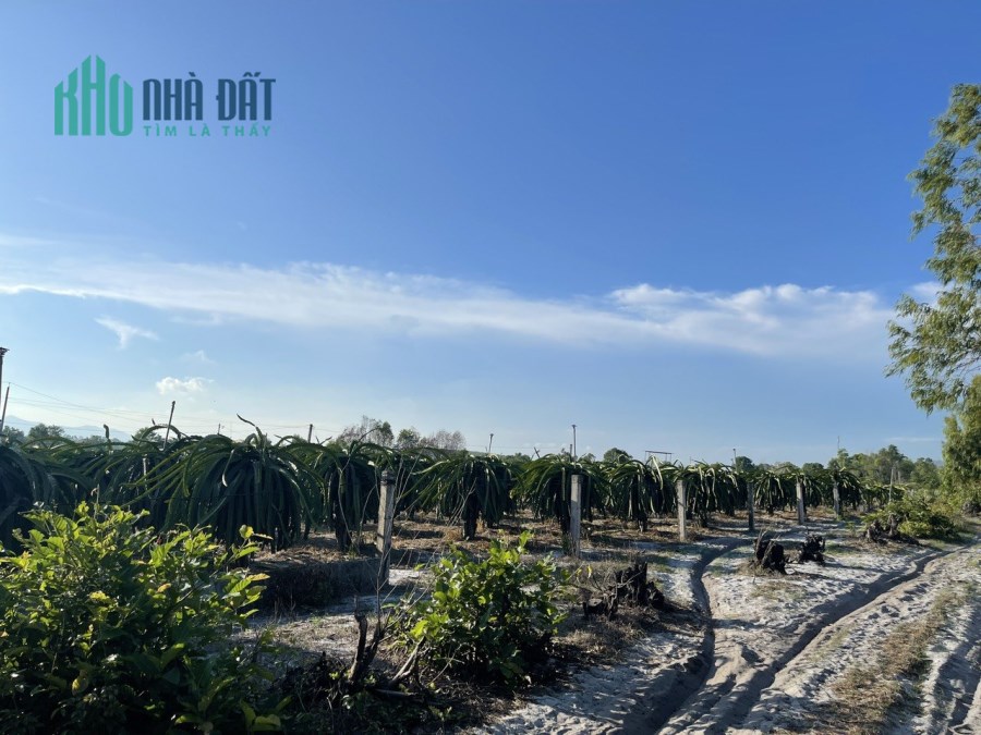 Tân Hải Lagi KDC Ba Đăng đất ở sát biển 1 sào 2,5 tỷ