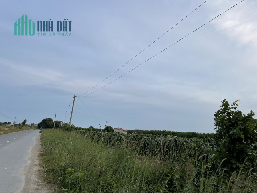 Đất BDS Mai Thúc Loan Tân Hải Lagi 15x74 3 tỷ