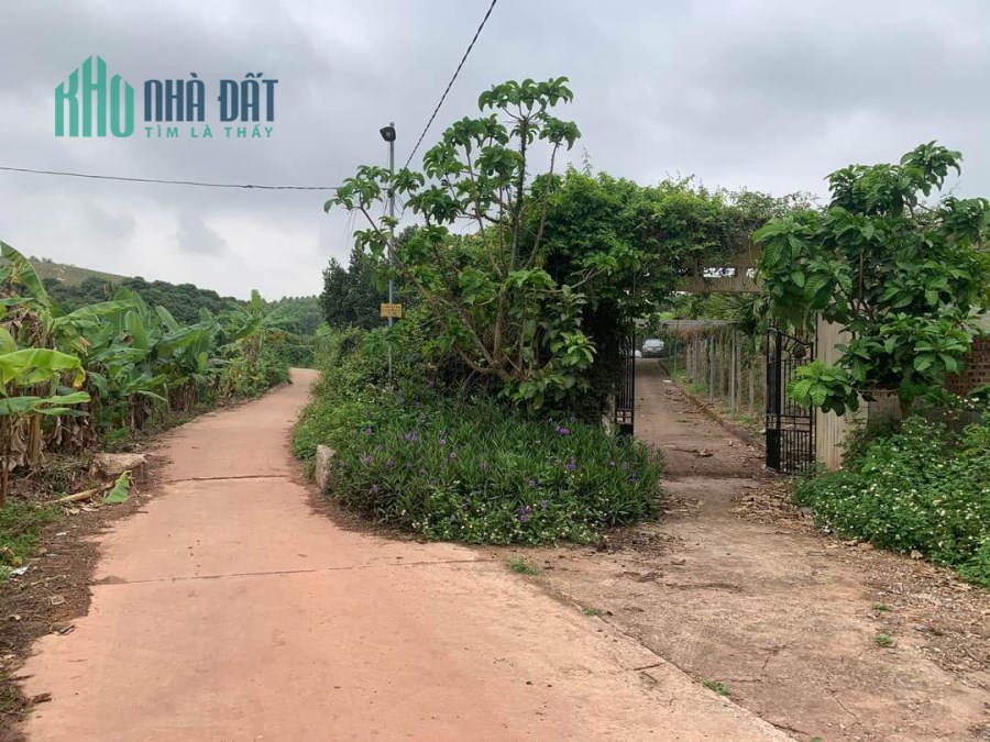 Bán Trang Trại Hiện Đại Siêu To Khổng Lồ ở Lục Nam, Bắc Giang, 2.6ha, Giá 11 tỷ