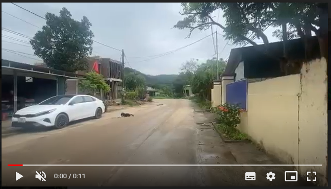 Lô đất diện tích nhỏ tại Đoàn Kết, Vân Đồn thích hợp đầu tư sinh lời lớn