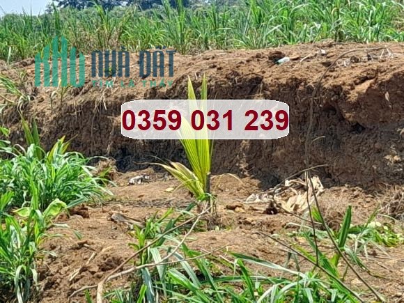 Chính chủ bán gấp lô đất tại xã Cư Dlie Mong, H.Cư Mgar, Đăk Lăk, 780tr; 0359031239