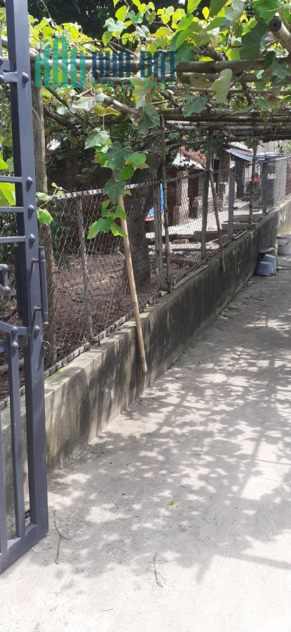 Chủ nhà cần bán lô đất tại tiền phong yên dũng ,diện tích 450m2