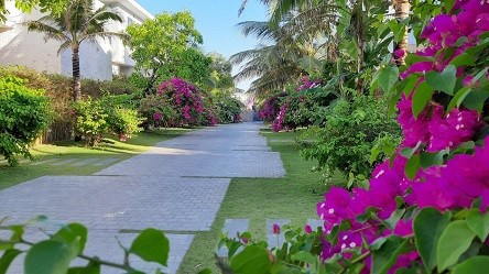 Chính Chủ Cần Bán Villa Ở ROSA ALBA