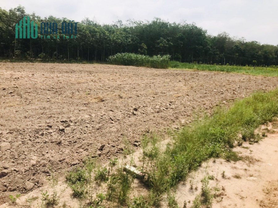 Tấn có lô đất ngang 10m, có thổ cư, dân đông, thích hợp cho anh chị đầu tư.