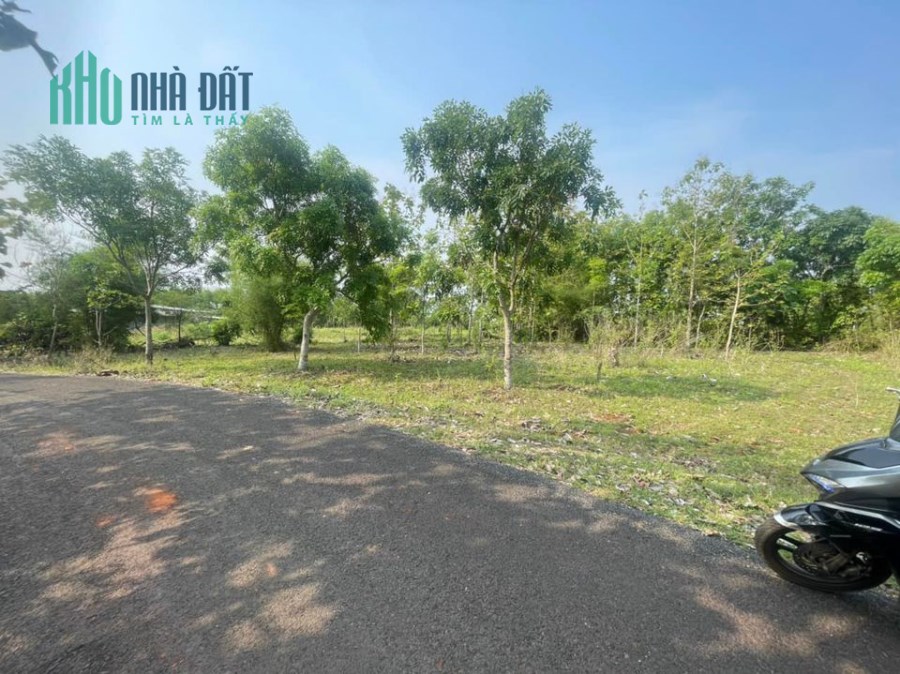 Bị ngân hàng dí nợ bán đất gấp 1423m² giá 345 triệu.