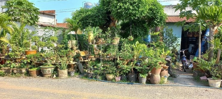 Bán đất Tp Tây Ninh vị trí thuận lợi, sinh lời cao