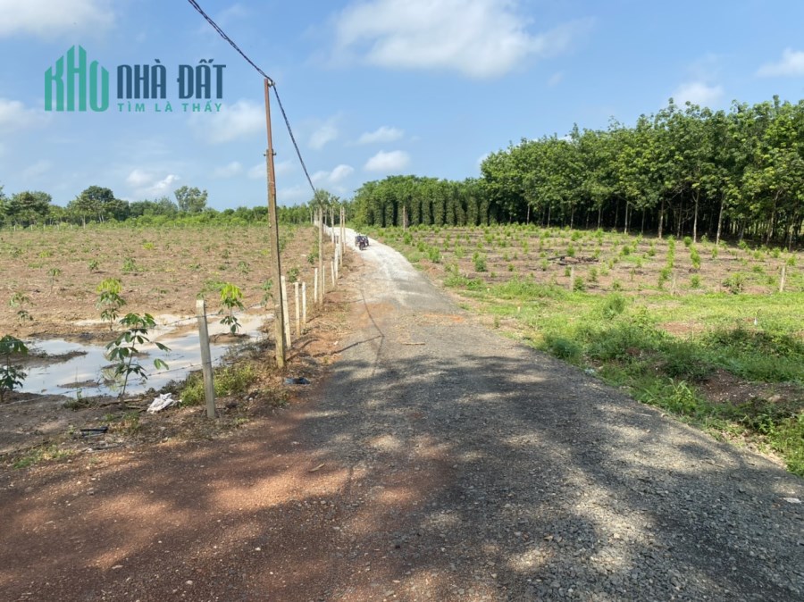 Vỡ nợ bán đất gấp diện tích 1156.3m² giá 392 triệu.