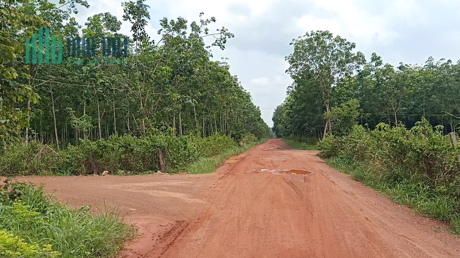 Xinh chào tất cã các anh chị đầu tư, em có một lô đất sào có hơn 1000m2 cần bán ạ.
