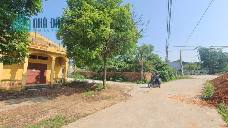 Cần bán lô góc Xuân mới, Thanh Vân, Tam dương💛Diện tích : 103m2 Gía : 1,0x tỷ.Liên hệ: 0986.454.393