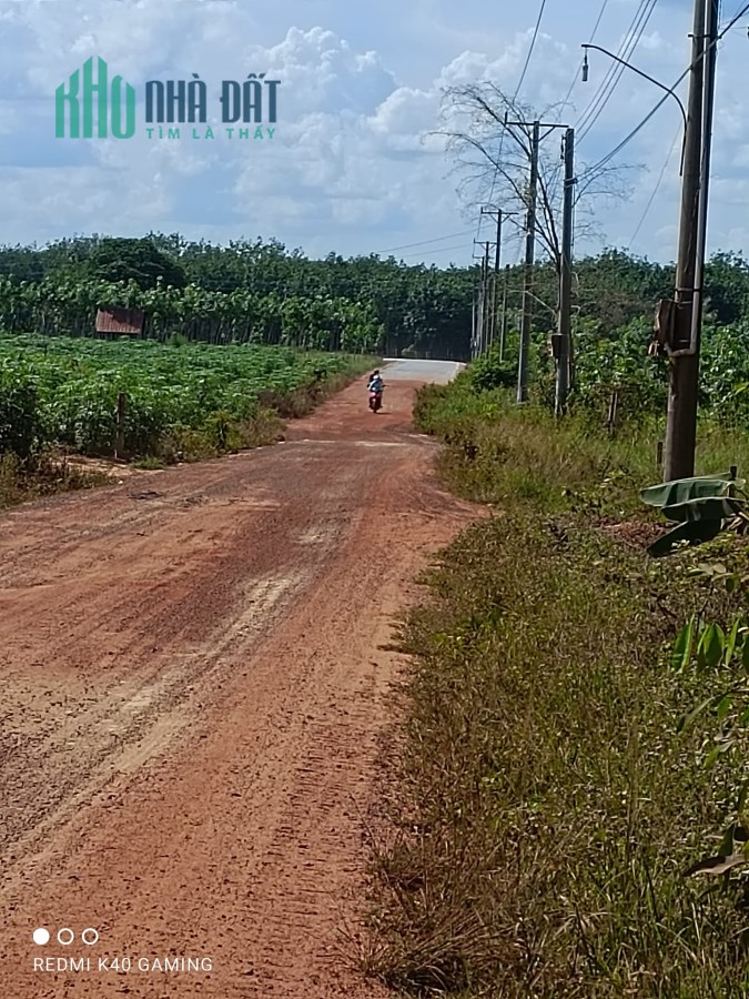 Tấn có lô đất sào trên 1000m2 và tọa lạc tại Xã Minh Hòa, Dầu Tiếng, Bình Dương.